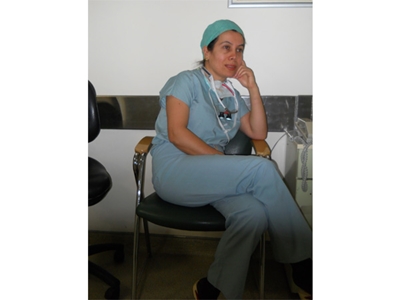 Prof Dr Seher Demirer