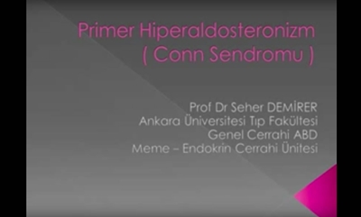 Primer Hiperaldosteronizm (Conn Sendromu)